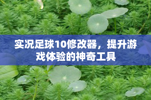 实况足球10修改器，提升游戏体验的神奇工具