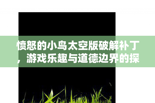 愤怒的小鸟太空版破解补丁，游戏乐趣与道德边界的探讨