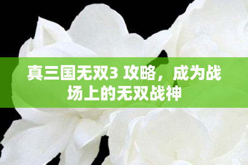真三国无双3 攻略，成为战场上的无双战神