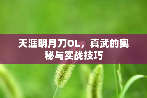 天涯明月刀OL，真武的奥秘与实战技巧
