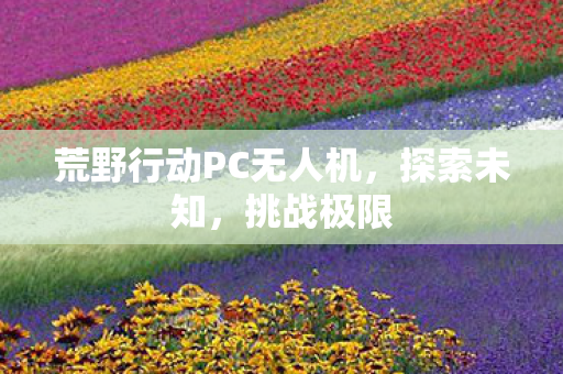 荒野行动PC无人机，探索未知，挑战极限