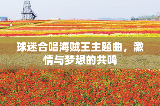球迷合唱海贼王主题曲，激情与梦想的共鸣