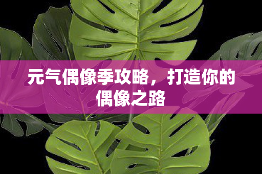 元气偶像季攻略，打造你的偶像之路