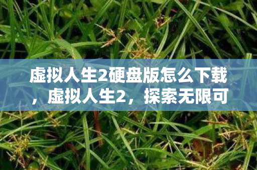 虚拟人生2硬盘版怎么下载,虚拟人生2,探索无限可能的数字世界 虚拟人生2硬盘版怎么下载,虚拟人生2,探索无限可能的数字世界