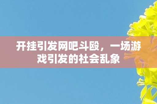 开挂引发网吧斗殴，一场游戏引发的社会乱象