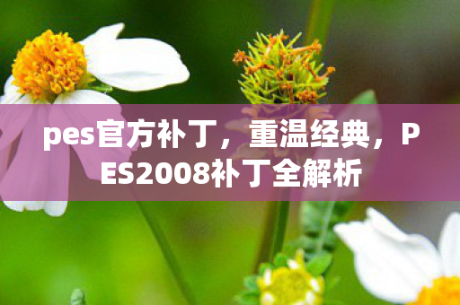pes官方补丁,重温经典,PES2008补丁全解析 pes官方补丁,重温经典,PES2008补丁全解析
