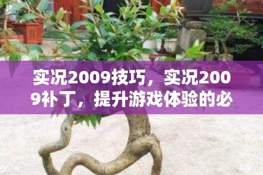 实况2009技巧,实况2009补丁,提升游戏体验的必备利器 实况2009技巧,实况2009补丁,提升游戏体验的必备利器