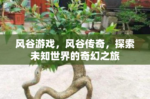 风谷游戏，风谷传奇，探索未知世界的奇幻之旅