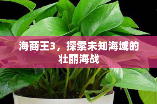 海商王3,探索未知海域的壮丽海战 海商王3,探索未知海域的壮丽海战