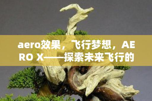 aero效果，飞行梦想，AERO X——探索未来飞行的新篇章