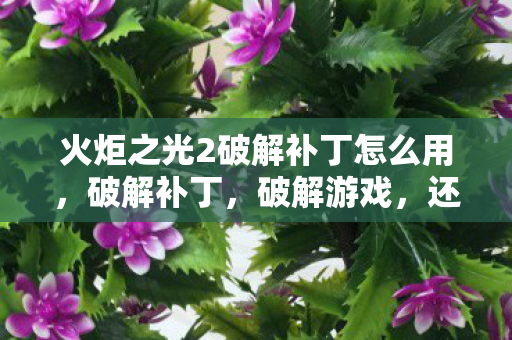 火炬之光2破解补丁怎么用,破解补丁,破解游戏,还是破解自己? 火炬之光2破解补丁怎么用,破解补丁,破解游戏,还是破解自己?