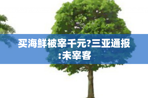 买海鲜被宰千元?三亚通报:未宰客