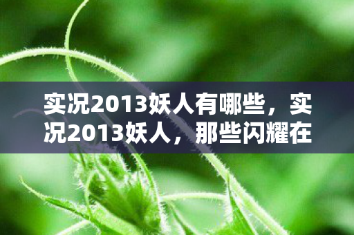 实况2013妖人有哪些，实况2013妖人，那些闪耀在绿茵场上的新星