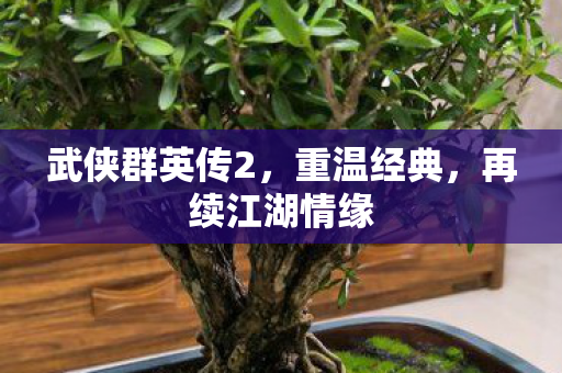 武侠群英传2，重温经典，再续江湖情缘