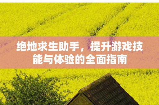 绝地求生助手，提升游戏技能与体验的全面指南