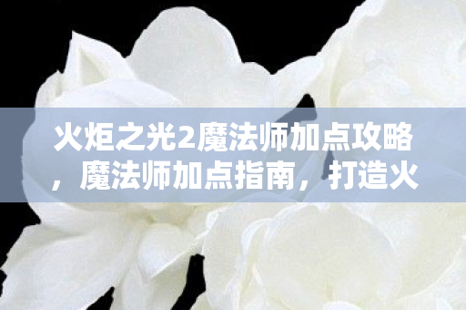 火炬之光2魔法师加点攻略,魔法师加点指南,打造火炬之光2中的终极法师 火炬之光2魔法师加点攻略,魔法师加点指南,打造火炬之光2中的终极法师