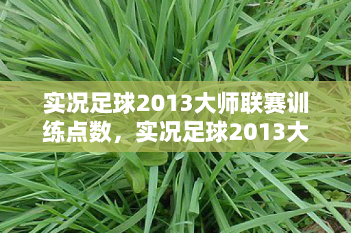 实况足球2013大师联赛训练点数，实况足球2013大师联赛训练全解析，提升球队战斗力的关键步骤