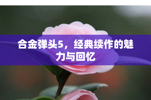 合金弹头5，经典续作的魅力与回忆