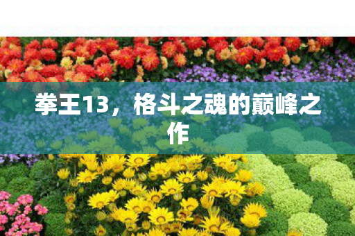 拳王13,格斗之魂的巅峰之作 拳王13,格斗之魂的巅峰之作