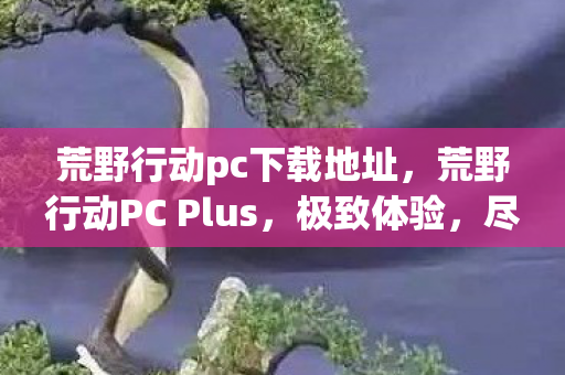 荒野行动pc下载地址，荒野行动PC Plus，极致体验，尽在掌握