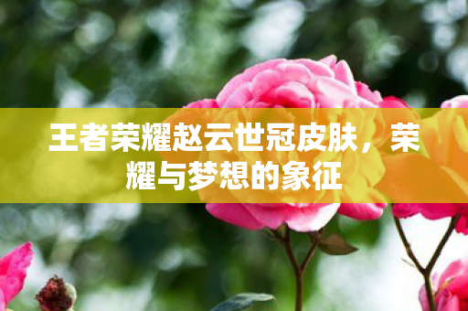王者荣耀赵云世冠皮肤，荣耀与梦想的象征