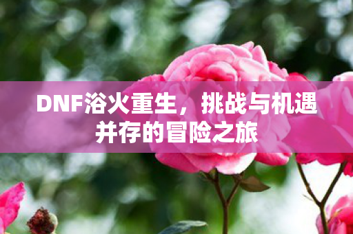DNF浴火重生，挑战与机遇并存的冒险之旅