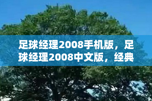 足球经理2008手机版，足球经理2008中文版，经典再现，策略与激情的碰撞
