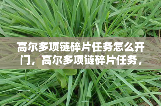 高尔多项链碎片任务怎么开门，高尔多项链碎片任务，解锁传奇宝藏的钥匙
