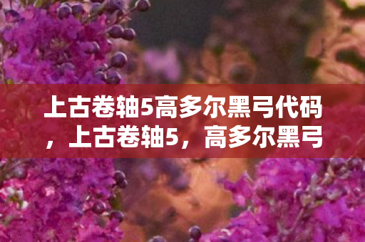 上古卷轴5高多尔黑弓代码，上古卷轴5，高多尔黑弓的神秘传说