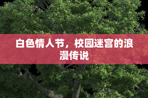 白色情人节，校园迷宫的浪漫传说