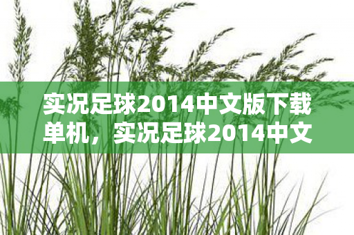 实况足球2014中文版下载单机，实况足球2014中文版下载指南，重温经典，畅享绿茵场