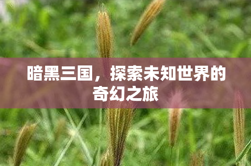 暗黑三国，探索未知世界的奇幻之旅