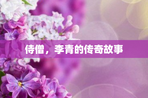 侍僧，李青的传奇故事