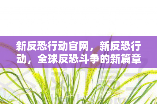 新反恐行动官网，新反恐行动，全球反恐斗争的新篇章