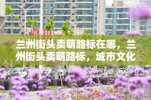 兰州街头卖萌路标在哪，兰州街头卖萌路标，城市文化的另类表达