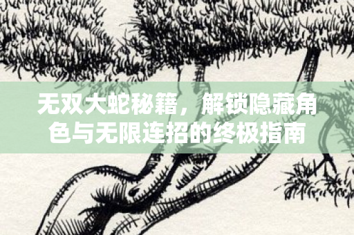 无双大蛇秘籍，解锁隐藏角色与无限连招的终极指南