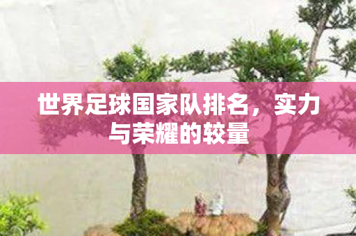 世界足球国家队排名，实力与荣耀的较量