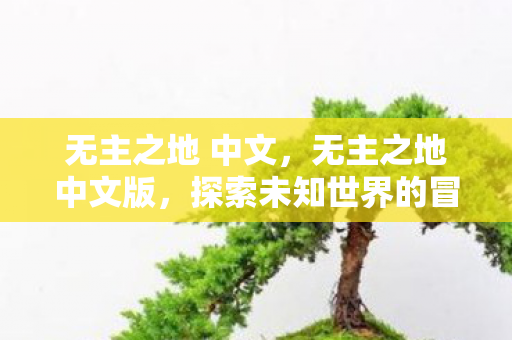 无主之地 中文，无主之地中文版，探索未知世界的冒险之旅