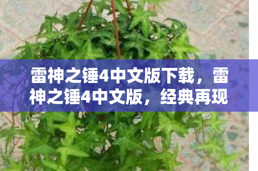 雷神之锤4中文版下载，雷神之锤4中文版，经典再现，情怀依旧