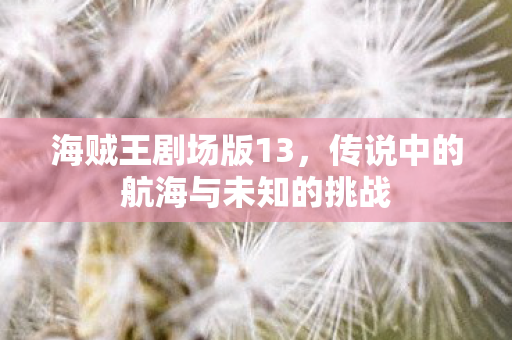 海贼王剧场版13，传说中的航海与未知的挑战