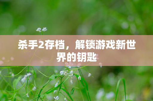 杀手2存档，解锁游戏新世界的钥匙