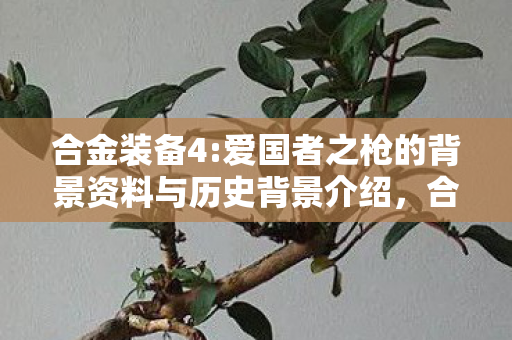 合金装备4:爱国者之枪的背景资料与历史背景介绍,合金装备4,爱国者之枪——一场心灵与信仰的较量 合金装备4:爱国者之枪的背景资料与历史背景介绍,合金装备4,爱国者之枪——一场心灵与信仰的较量