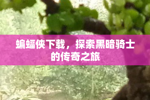 蝙蝠侠下载,探索黑暗骑士的传奇之旅 蝙蝠侠下载,探索黑暗骑士的传奇之旅