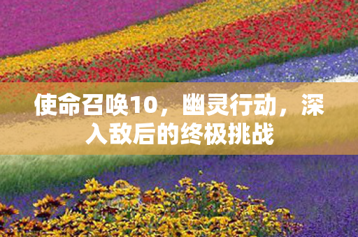 使命召唤10，幽灵行动，深入敌后的终极挑战