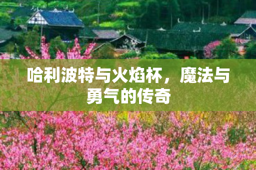 哈利波特与火焰杯，魔法与勇气的传奇