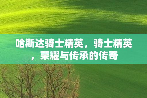 哈斯达骑士精英，骑士精英，荣耀与传承的传奇