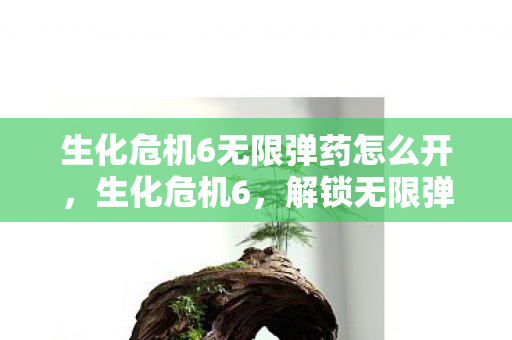 生化危机6无限弹药怎么开,生化危机6,解锁无限弹药,挑战极限生存 生化危机6无限弹药怎么开,生化危机6,解锁无限弹药,挑战极限生存