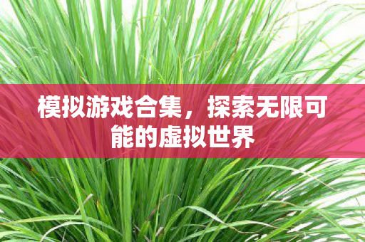 模拟游戏合集，探索无限可能的虚拟世界