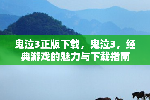 鬼泣3正版下载，鬼泣3，经典游戏的魅力与下载指南