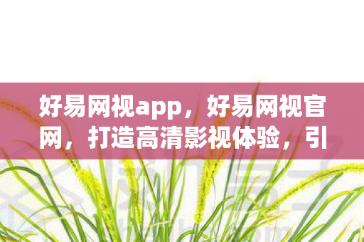 好易网视app,好易网视官网,打造高清影视体验,引领数字娱乐新风尚 好易网视app,好易网视官网,打造高清影视体验,引领数字娱乐新风尚